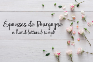 PN Époisses De Bourgogne: A Web Designer’s Guide to This Elegant Script Font